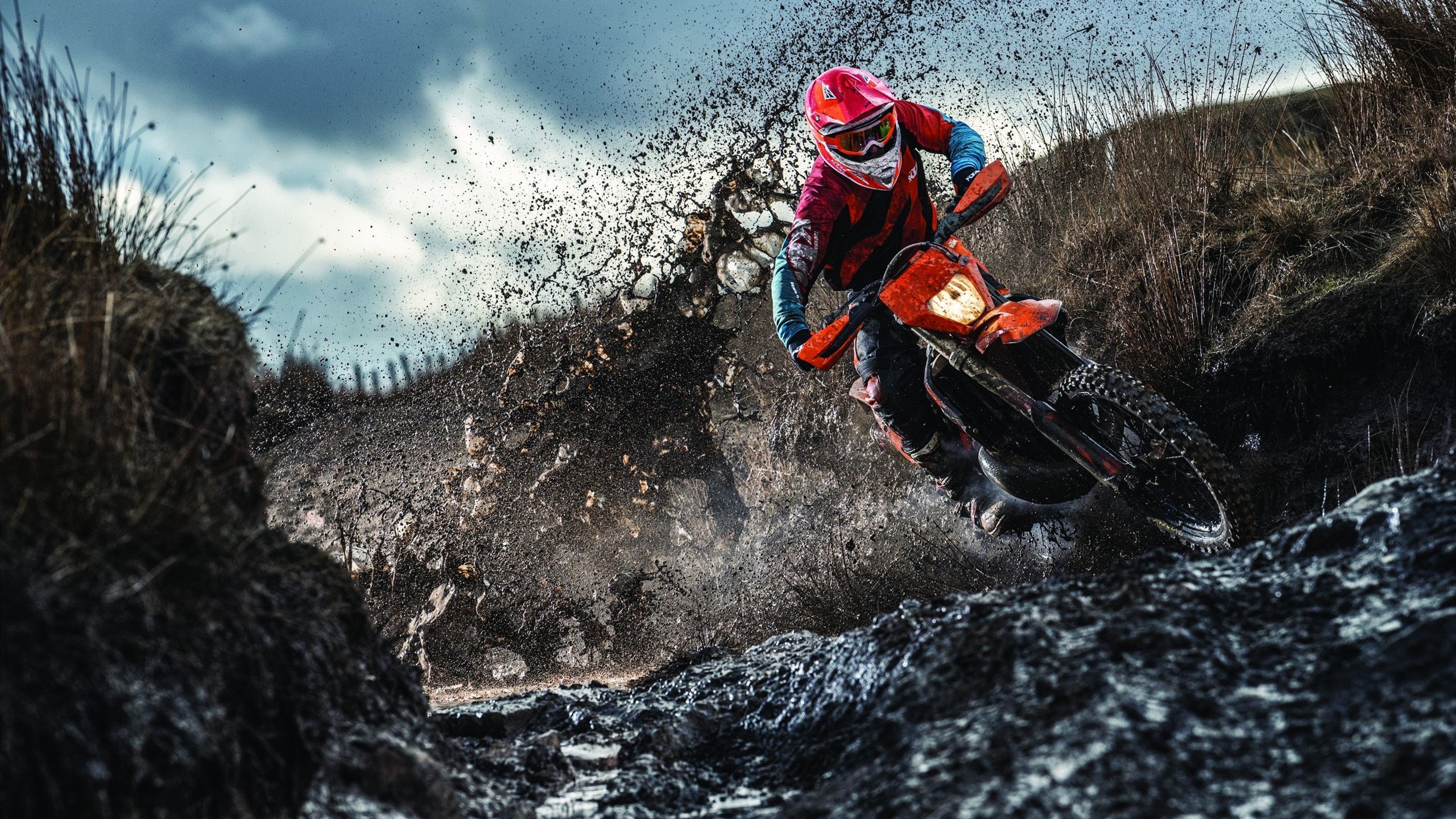 东决焦点战，苏格兰用外交乌龙球击穿卡塔尔金元防线